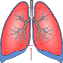 気管支炎の特徴と対処