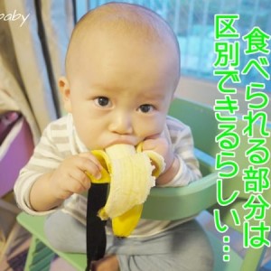 赤ちゃんがバナナを食べ過ぎると危険！なの？